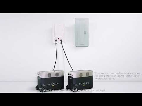 EcoFlow DELTA Pro Tragbare Powerstation