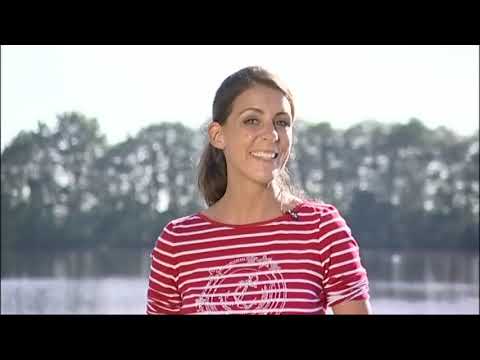 HONDA Stromerzeuger EU 30is Generator